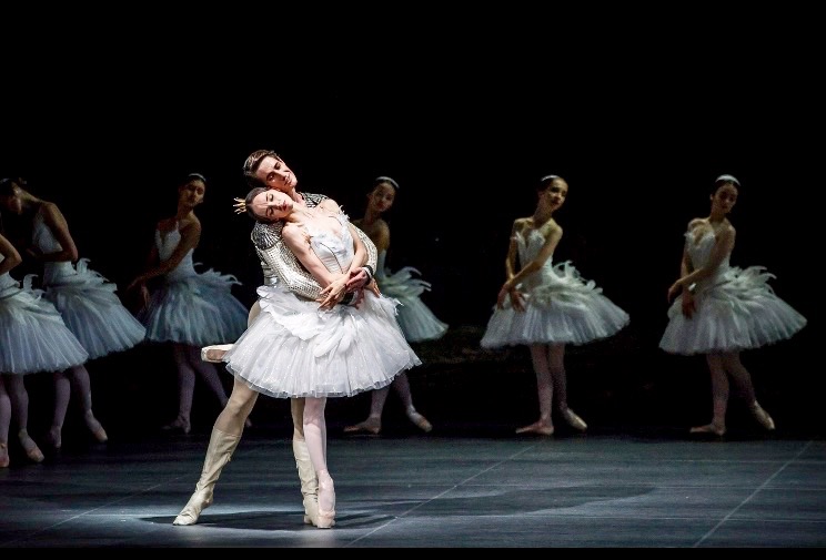 TOP Ballet SWAN LAKE&nbsp;interpretations